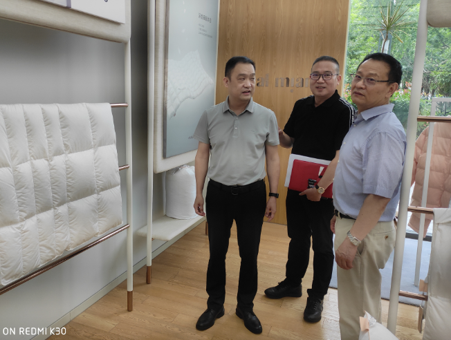 普陀区人大主任罗勇伟一行赴艾莱依指导工作 新闻配图