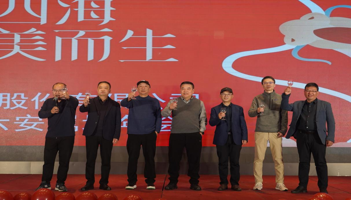 龙腾四海，向美而生 | 六安家纺工厂2024迎春盛典 新闻配图