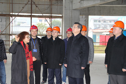 浙江省委常委、丽水市委书记王永康一行莅临艾莱依参观指导